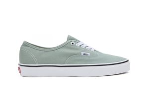 Skate Παπούτσια Vans Authentic